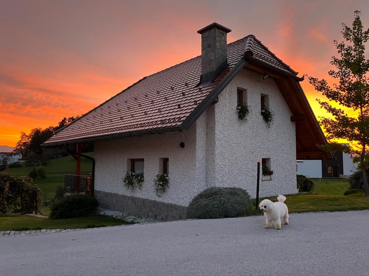 Holiday Home Dobrotin Vojnik ภายนอก รูปภาพ
