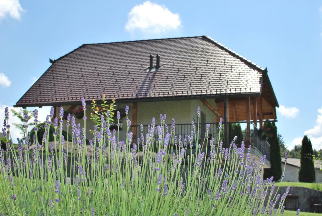 Holiday Home Dobrotin Vojnik ภายนอก รูปภาพ