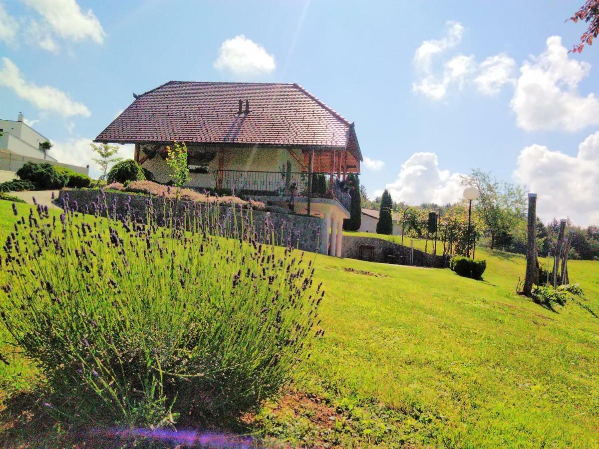 Holiday Home Dobrotin Vojnik ภายนอก รูปภาพ